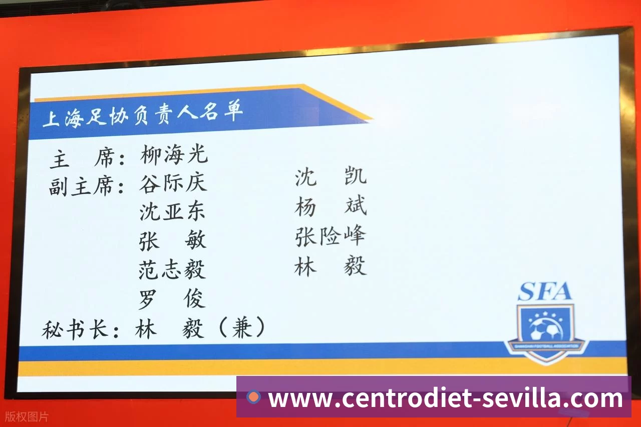 登录器 登录器