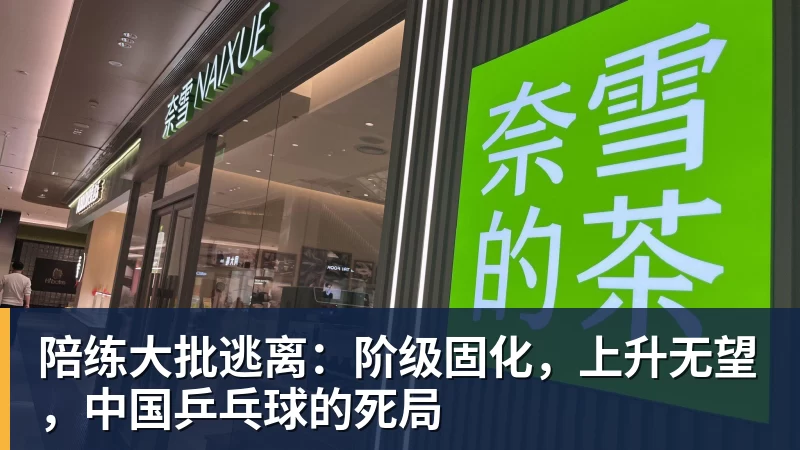 陪练大批逃离：阶级固化，上升无望，中国乒乓球的死局
